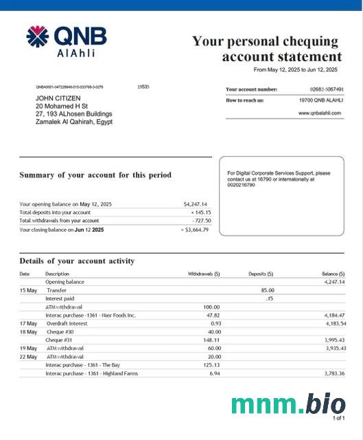 Qatar QNB ALAHLI wyciąg z konta bankowego Word i szablon PDF, 2 strony